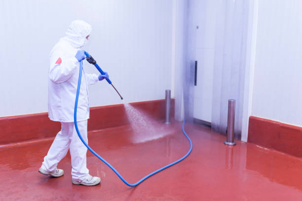 Best Oil and Grease Removal from Surfaces in Roma, TX