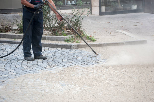 Best Roof Cleaning and Mildew Removal in Roma, TX